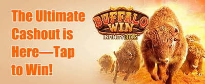Refer a Paddy Bonus promotion